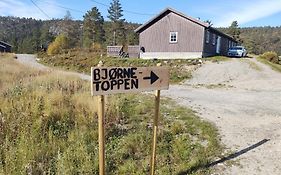 Utleieleilighet 4 Sengeplasser Ski Inn Og Ut